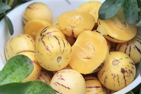 人參果一天最多吃幾個(gè) 人參果吃多了會(huì)怎樣 人參果一天最多吃幾個(gè) 人參果吃多了會(huì)怎樣