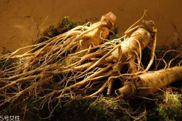 人參有什么作用呢 人參有什么營養(yǎng)價值呢 人參有什么作用呢 人參有什么營養(yǎng)價值呢