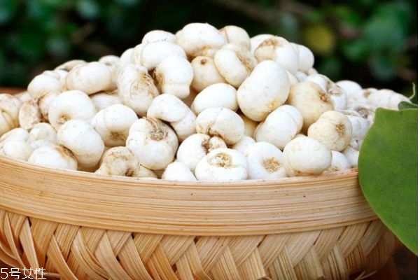 川貝有什么營養(yǎng)價值呢 川貝有什么作用呢 川貝有什么營養(yǎng)價值呢 川貝有什么作用呢