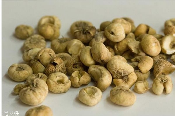 川貝有什么營養(yǎng)價值呢 川貝有什么作用呢 川貝有什么營養(yǎng)價值呢 川貝有什么作用呢