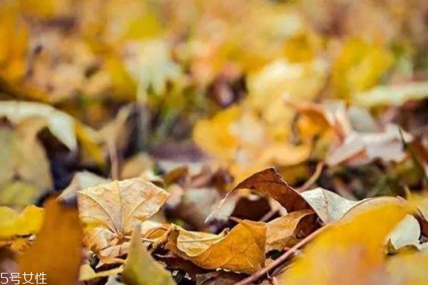 秋季容易患什么病呢 秋季應(yīng)該如何預(yù)防生病呢 秋季容易患什么病呢 秋季應(yīng)該如何預(yù)防生病呢