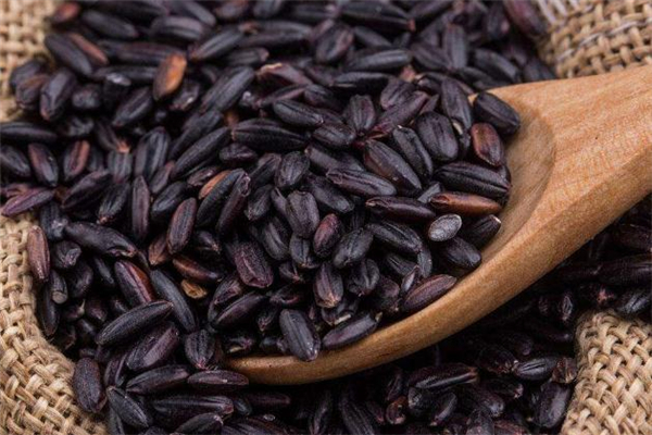 黑糯米是什么米 黑糯米是轉(zhuǎn)基因食品嗎 黑糯米是什么米 黑糯米是轉(zhuǎn)基因食品嗎