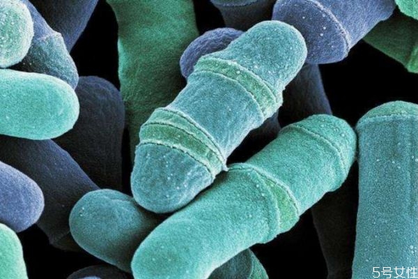 灰指甲是怎么造成的呢 應該怎么治療灰指甲呢 灰指甲是怎么造成的呢 應該怎么治療灰指甲呢