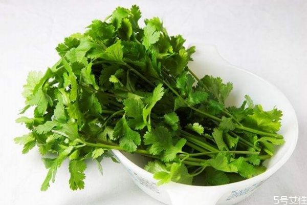 吃什么食物對胃好 對胃腸好的食物有哪些 吃什么食物對胃好 對胃腸好的食物有哪些