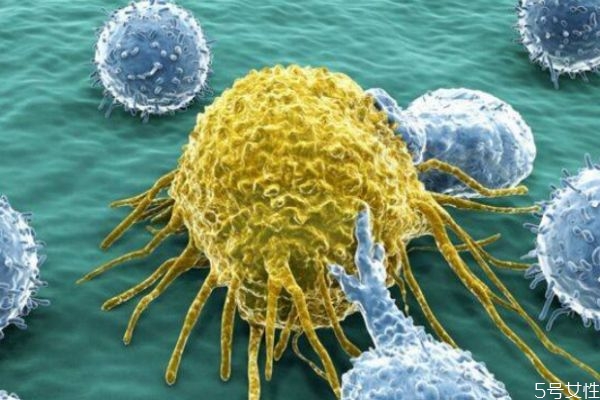 唾液可以傳染艾滋病嗎 什么途徑會(huì)感染艾滋病 唾液可以傳染艾滋病嗎 什么途徑會(huì)感染艾滋病