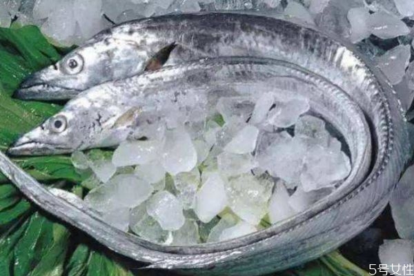 帶魚(yú)生長(zhǎng)在什么環(huán)境里呢 帶魚(yú)的熱量有多少呢 帶魚(yú)生長(zhǎng)在什么環(huán)境里呢 帶魚(yú)的熱量有多少呢