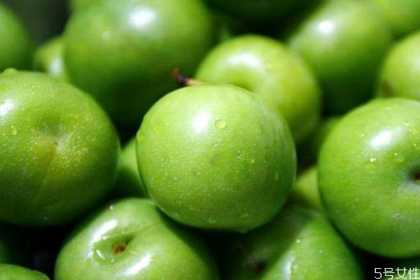 李子的營(yíng)養(yǎng)價(jià)值有什么呢 吃李子有什么好處呢 李子的營(yíng)養(yǎng)價(jià)值有什么呢 吃李子有什么好處呢