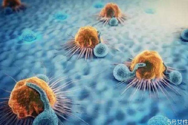 什么是宮頸癌呢 宮頸癌發(fā)生的原因是什么呢 什么是宮頸癌呢 宮頸癌發(fā)生的原因是什么呢