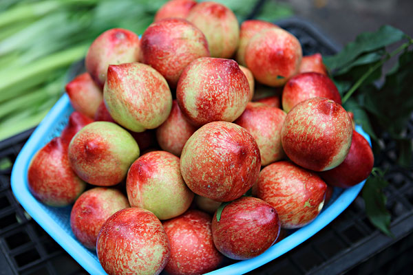 油桃怎么做罐頭 油桃能不能做罐頭吃 油桃怎么做罐頭 油桃能不能做罐頭吃