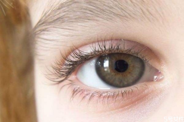 嫁接睫毛可以保持多長時間 嫁接睫毛有什么好處 嫁接睫毛可以保持多長時間 嫁接睫毛有什么好處