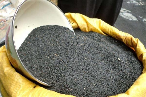 吃黑芝麻可以增強(qiáng)免疫力嗎 免疫力低吃黑芝麻有用嗎 吃黑芝麻可以增強(qiáng)免疫力嗎 免疫力低吃黑芝麻有用嗎