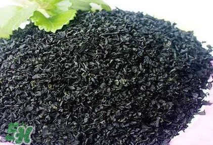 怎么辨別螺旋藻的真假？買螺旋藻怎么挑？