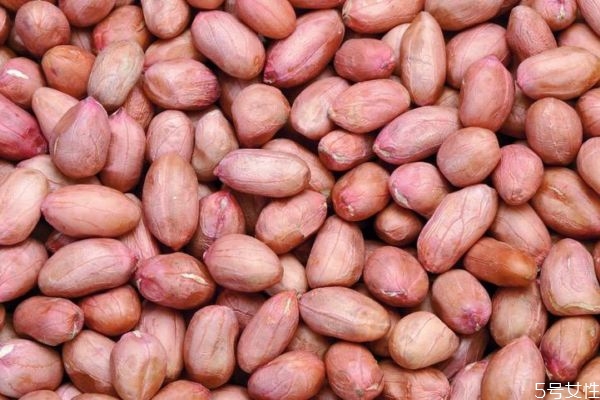 吃花生會長胖嗎 花生的熱量有多少呢 吃花生會長胖嗎 花生的熱量有多少呢