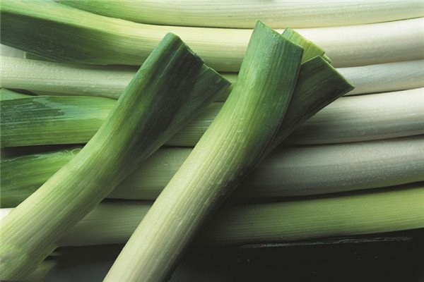 大蔥發(fā)芽了還能吃嗎 吃大蔥有什么禁忌 大蔥發(fā)芽了還能吃嗎 吃大蔥有什么禁忌