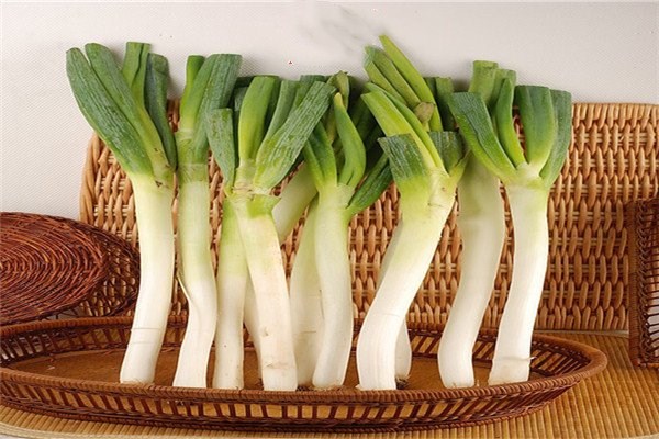 大蔥發(fā)芽了還能吃嗎 吃大蔥有什么禁忌 大蔥發(fā)芽了還能吃嗎 吃大蔥有什么禁忌