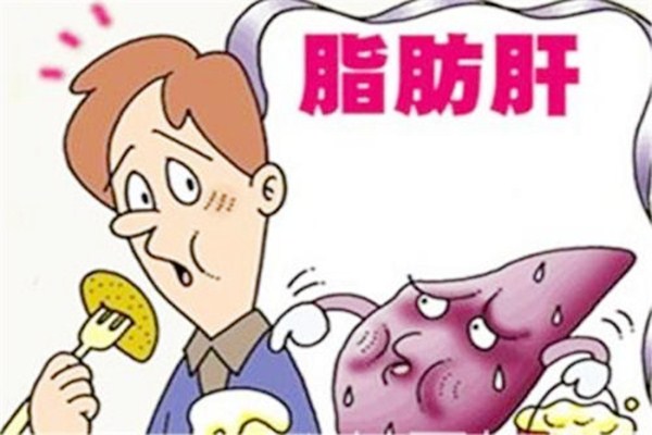 減脂肪肝可以做什么運(yùn)動(dòng) 脂肪肝怎么檢查 減脂肪肝可以做什么運(yùn)動(dòng) 脂肪肝怎么檢查