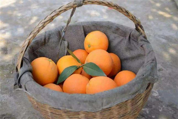 口腔潰瘍能吃臍橙嗎 口腔潰瘍吃臍橙好不好 口腔潰瘍能吃臍橙嗎 口腔潰瘍吃臍橙好不好