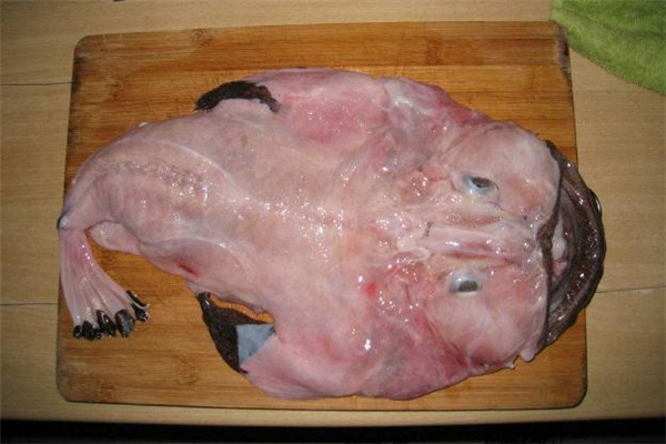 安康魚(yú)的做法 安康魚(yú)怎么做比較好吃 安康魚(yú)的做法 安康魚(yú)怎么做比較好吃