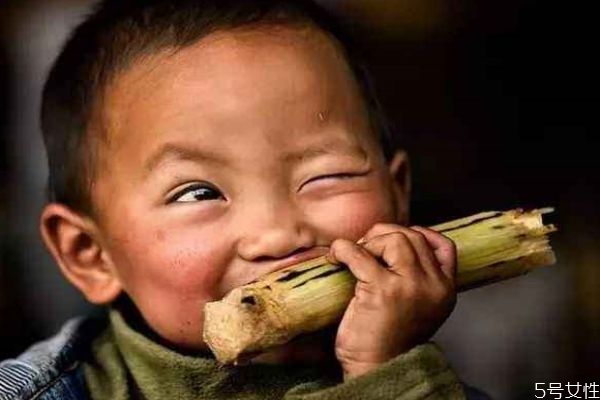 吃甘蔗會導(dǎo)致牙齒松動嗎 吃甘蔗應(yīng)該注意什么呢 吃甘蔗會導(dǎo)致牙齒松動嗎 吃甘蔗應(yīng)該注意什么呢