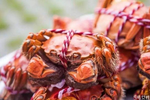 什么是梭子蟹呢 梭子蟹有什么營養(yǎng)價值呢 什么是梭子蟹呢 梭子蟹有什么營養(yǎng)價值呢