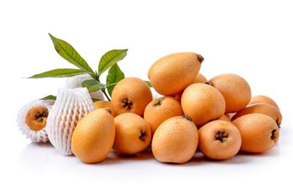 枇杷果能直接吃嗎 枇杷果怎么吃治咳嗽 枇杷果能直接吃嗎 枇杷果怎么吃治咳嗽