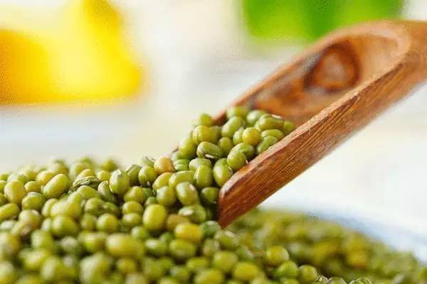 綠豆煮多久能熟 綠豆怎么容易煮爛 綠豆煮多久能熟 綠豆怎么容易煮爛