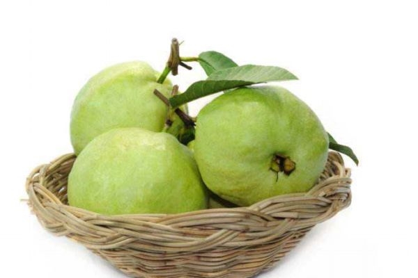 番石榴有什么營養(yǎng)價值呢 吃番石榴的好處有什么呢 番石榴有什么營養(yǎng)價值呢 吃番石榴的好處有什么呢