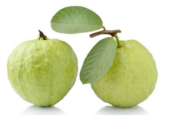 番石榴和石榴有什么區(qū)別呢 如何挑選番石榴呢 番石榴和石榴有什么區(qū)別呢 如何挑選番石榴呢