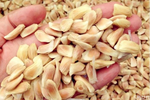 柚子核有什么作用呢 柚子核可以吃嗎 柚子核有什么作用呢 柚子核可以吃嗎