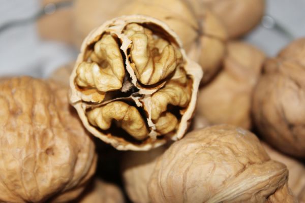 核桃保質(zhì)期多久 核桃怎么吃營(yíng)養(yǎng)價(jià)值高 核桃保質(zhì)期多久 核桃怎么吃營(yíng)養(yǎng)價(jià)值高