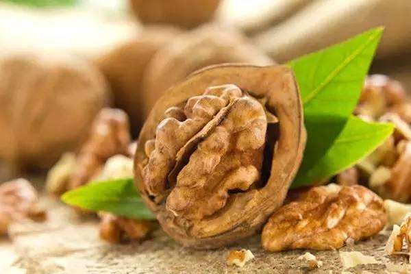 核桃保質(zhì)期多久 核桃怎么吃營(yíng)養(yǎng)價(jià)值高 核桃保質(zhì)期多久 核桃怎么吃營(yíng)養(yǎng)價(jià)值高