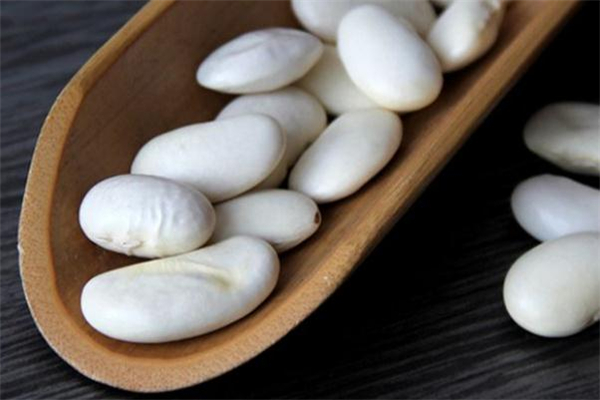 蕓豆沒熟有毒嗎 吃蕓豆中毒怎么辦 蕓豆沒熟有毒嗎 吃蕓豆中毒怎么辦