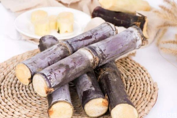 甘蔗在什么季節(jié)成熟呢 什么時(shí)候吃甘蔗最好呢 甘蔗在什么季節(jié)成熟呢 什么時(shí)候吃甘蔗最好呢