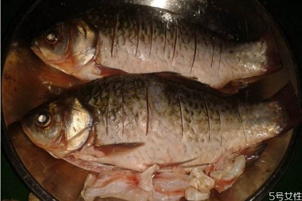 孕婦可以吃鯽魚(yú)嗎 孕婦吃鯽魚(yú)有什么注意的呢 孕婦可以吃鯽魚(yú)嗎 孕婦吃鯽魚(yú)有什么注意的呢