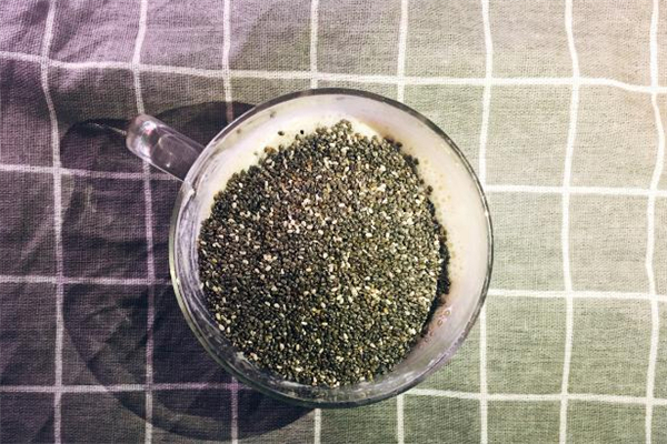 奇亞籽可以用牛奶泡嗎 奇亞籽泡牛奶多久能吃 奇亞籽可以用牛奶泡嗎 奇亞籽泡牛奶多久能吃