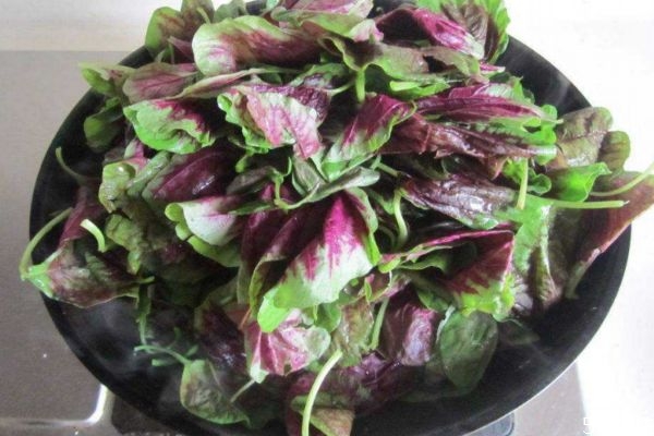 什么是紅莧菜呢 紅莧菜有什么營養(yǎng)價(jià)值呢