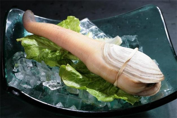 象拔蚌怎么殺 象拔蚌怎么做好吃 象拔蚌怎么殺 象拔蚌怎么做好吃