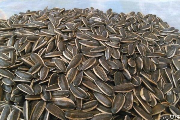 葵花籽是從哪里來的呢 一般葵花籽幾月份成熟呢 葵花籽是從哪里來的呢 一般葵花籽幾月份成熟呢