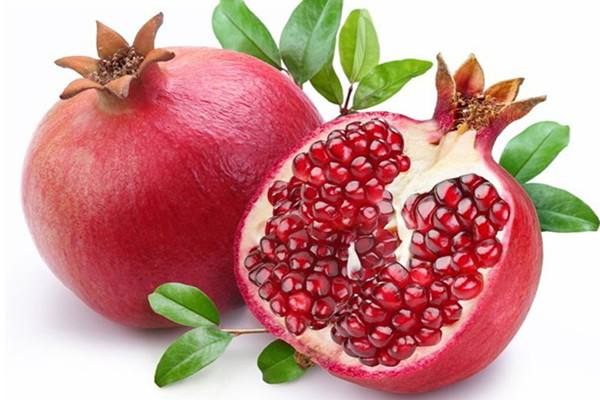 軟籽石榴保存多少度好 軟籽石榴是熱性還是涼性的 軟籽石榴保存多少度好 軟籽石榴是熱性還是涼性的