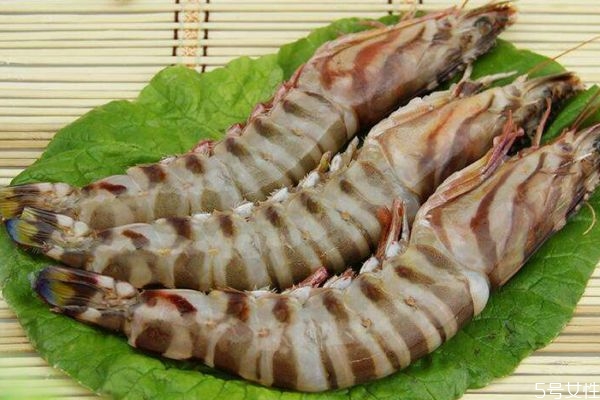 竹節(jié)蝦為什么叫竹節(jié)蝦呢 竹節(jié)蝦的熱量有多少呢 竹節(jié)蝦為什么叫竹節(jié)蝦呢 竹節(jié)蝦的熱量有多少呢