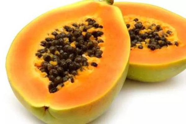 木瓜可以放冰箱保存嗎 新鮮木瓜怎么保存 木瓜可以放冰箱保存嗎 新鮮木瓜怎么保存