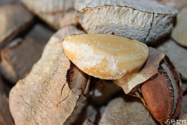 鮑魚果一般可以放多久呢 鮑魚果的存儲方式有什么呢 鮑魚果一般可以放多久呢 鮑魚果的存儲方式有什么呢