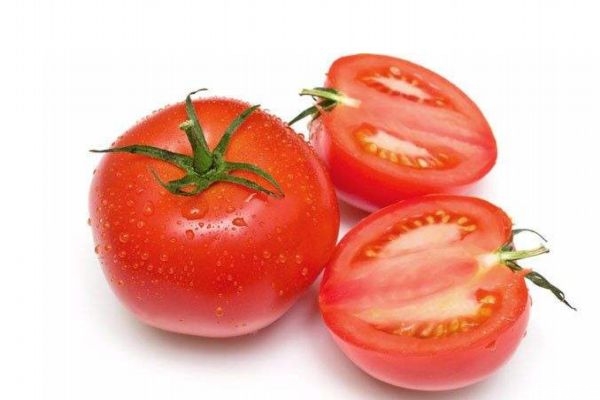 西紅柿生長環(huán)境是怎么樣呢 西紅柿成熟在什么季節(jié)呢 西紅柿生長環(huán)境是怎么樣呢 西紅柿成熟在什么季節(jié)呢