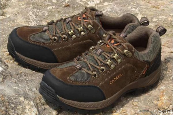 駱駝鞋怎么清洗 駱駝鞋什么檔次 駱駝鞋怎么清洗 駱駝鞋什么檔次