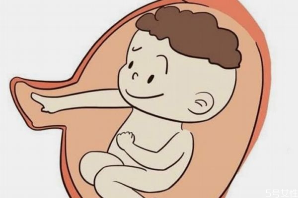 肚里的寶寶為什么一直動呢 肚里的寶寶什么時候睡覺呢 肚里的寶寶為什么一直動呢 肚里的寶寶什么時候睡覺呢