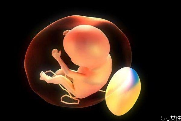 肚里的寶寶為什么一直動呢 肚里的寶寶什么時候睡覺呢 肚里的寶寶為什么一直動呢 肚里的寶寶什么時候睡覺呢