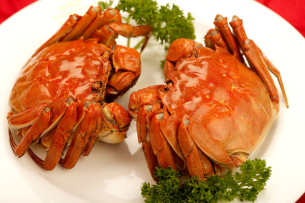 抱卵蟹為什么不好吃 抱卵蟹怎么吃好 抱卵蟹為什么不好吃 抱卵蟹怎么吃好