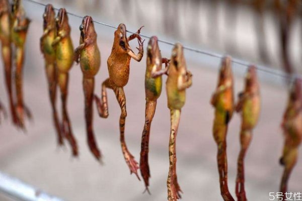 雪蛤是長什么樣子 雪蛤怎么吃呢 雪蛤是長什么樣子 雪蛤怎么吃呢