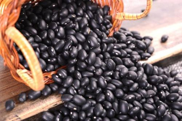 黑豆怎么保存不易有蟲 吃黑豆要注意什么 黑豆怎么保存不易有蟲 吃黑豆要注意什么