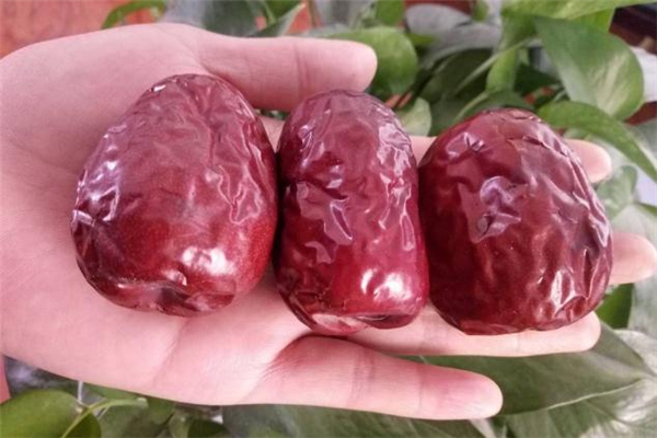 狗頭棗可以放多久 狗頭棗怎么儲(chǔ)存 狗頭棗可以放多久 狗頭棗怎么儲(chǔ)存